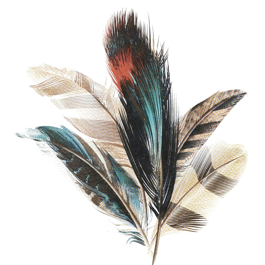 Feather Paper Luncheon Napkins - 20 Per Package