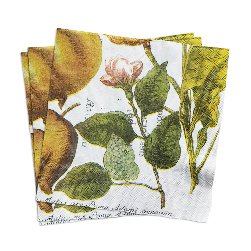 Bergamot Paper Luncheon Napkins in White - 20 Per Package