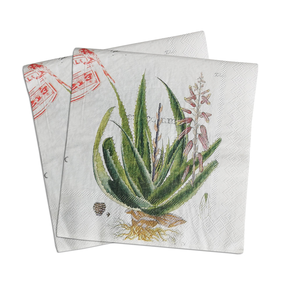Guatemala Plants I Paper Luncheon Napkins in White - 20 Per Package