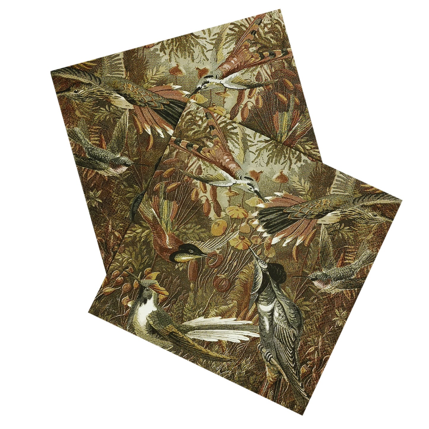 Hummingbirds in the Grass Paper Luncheon Napkins - 20 Per Package